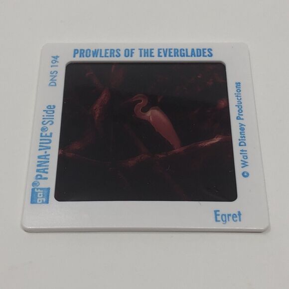 Vintage Walt Disney World Powers of the Everglades Epcot Center Pana-Vue Slides - Picture 6 of 7